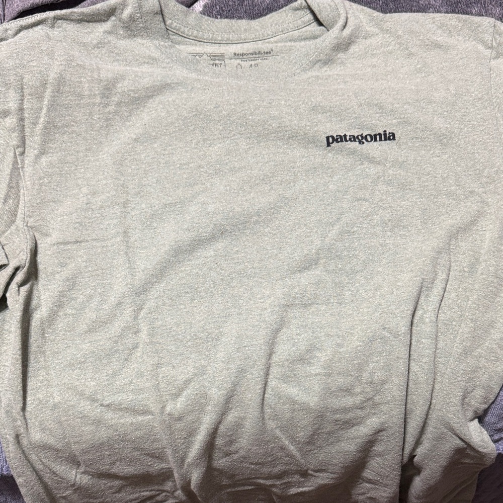 Patagonia Light Greenish Men's Tee